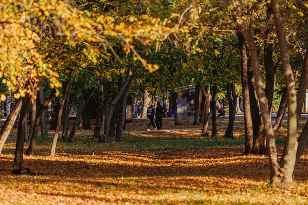 Как легче переносить осенние перепады температуры – советы врача