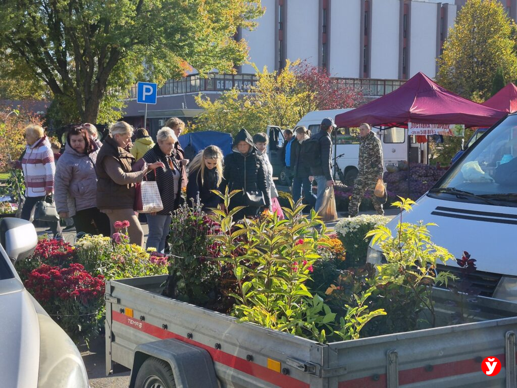 Картошка и арбузы за 1 рубль. Что еще продавали на региональной ярмарке в Солигорске