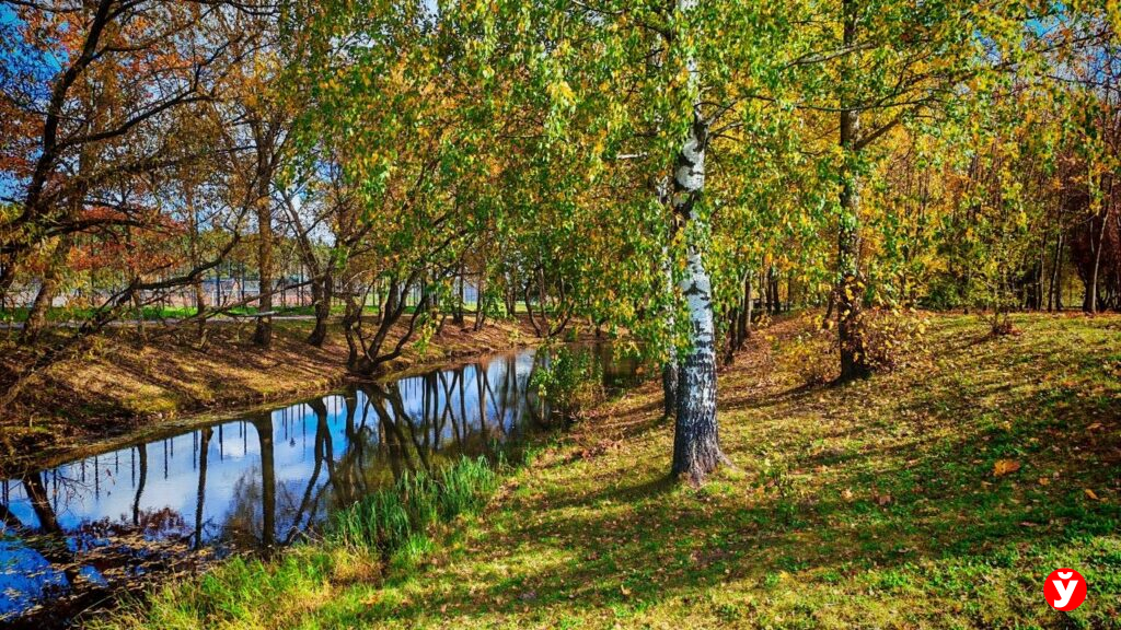 Выше +14°С не ждать. Какой будет погода в Беларуси 15 октября