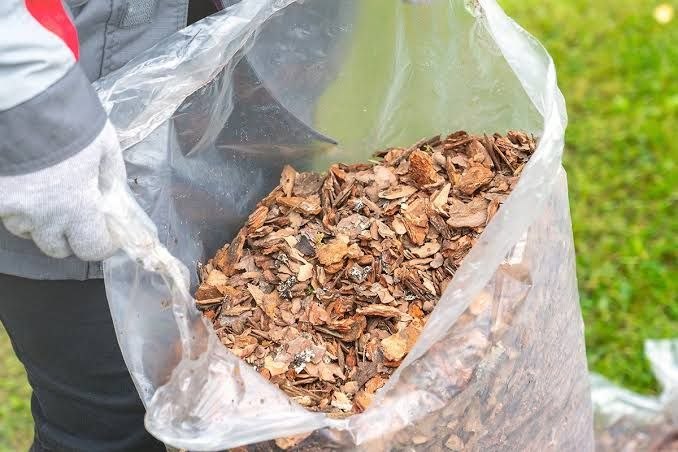 Что делать с мульчей осенью. Практическое руководство для садовода