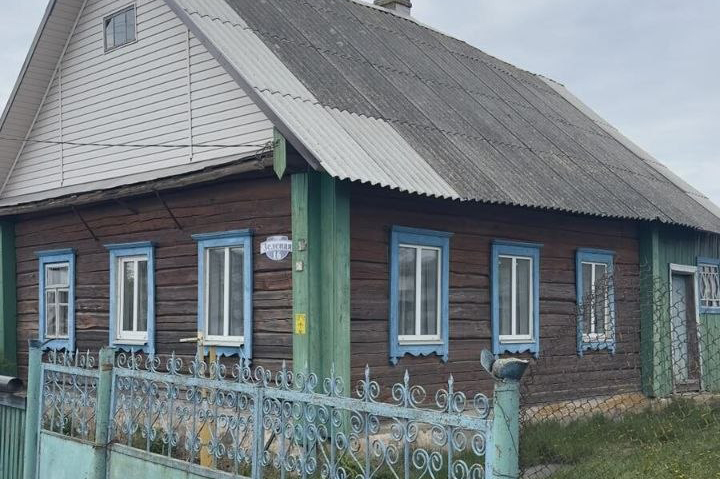 Дом за 27 тысяч рублей в Слуцком районе. Разбираем предложение