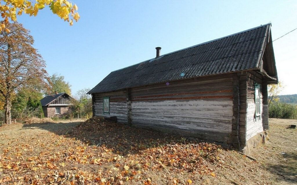 Дом у реки за 36 500 рублей – разбор предложения в Ковалевичах