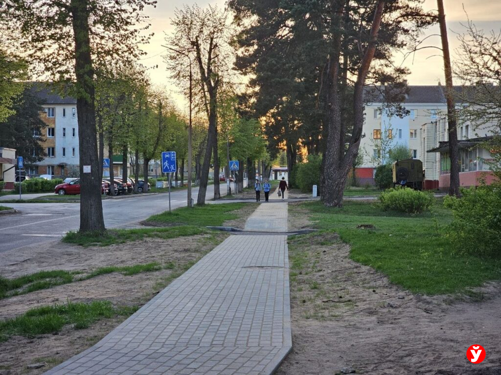 дом в Борисове
