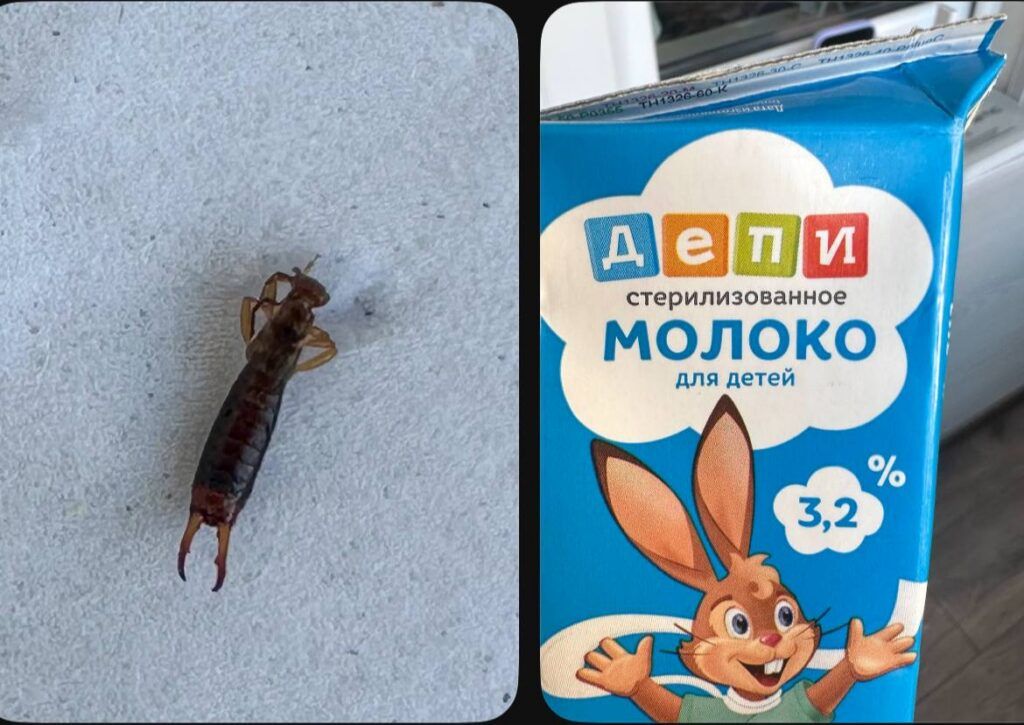На Минском молочном заводе №1 опровергли информацию о насекомом в детском молоке