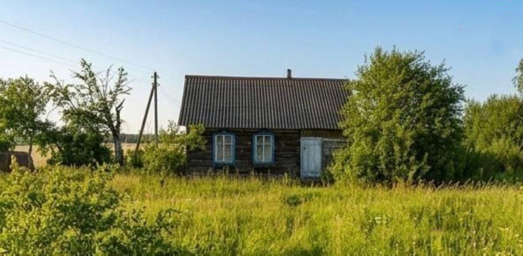 Дом в Дубовручье. 15 500 рублей за 23,4 квадрата и 25 соток