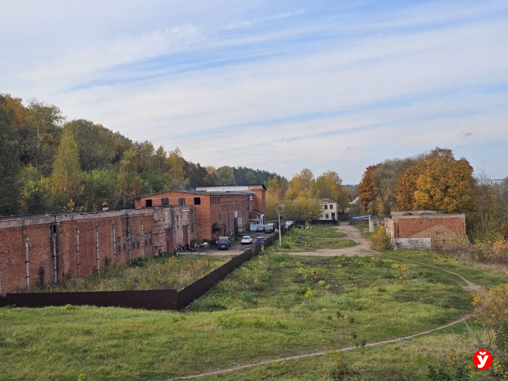 Борисовчанка предложила преобразить территорию на берегу Березины