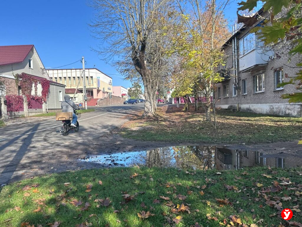 Вилейка, дом