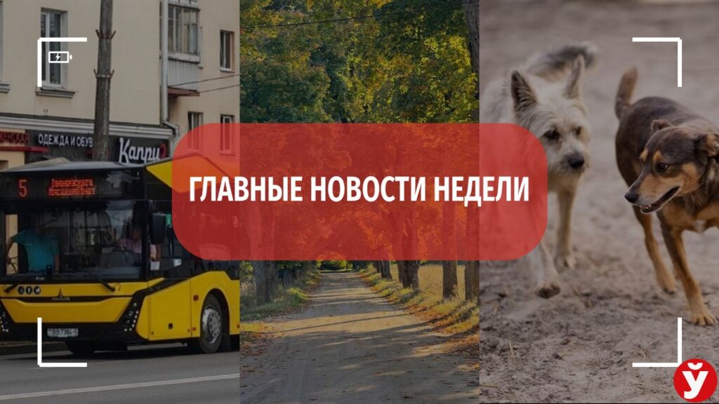 Пассажиров высадили из автобуса, а собак ловят ночами – топ-5 новостей Минщины