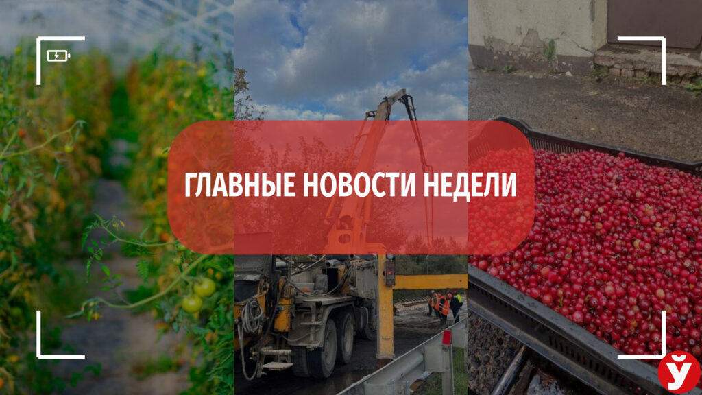 Заработки на клюкве, ремонт проблемного моста и секреты фермерства – топ-5 новостей Минщины