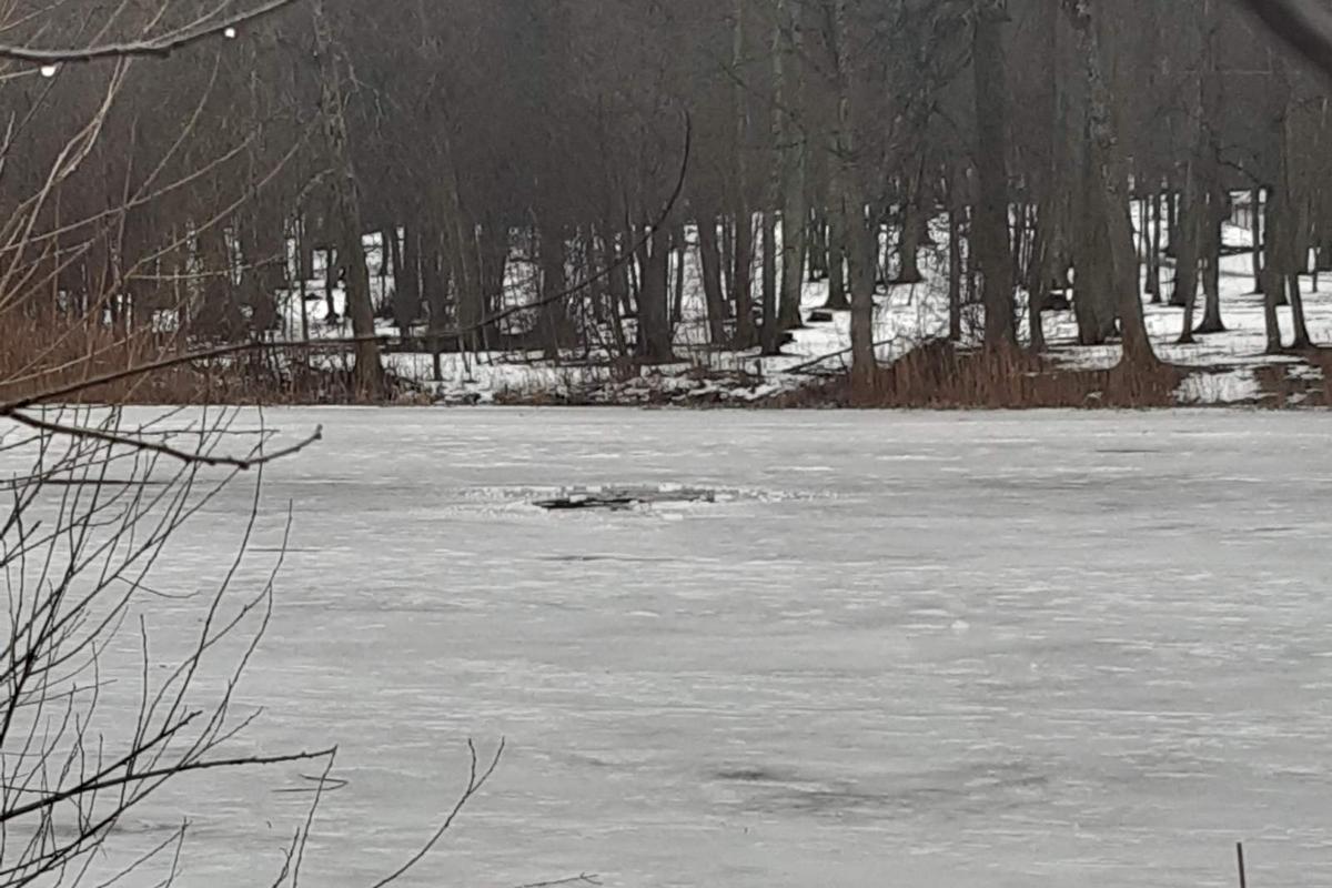 Дэу 67 логойск контакты