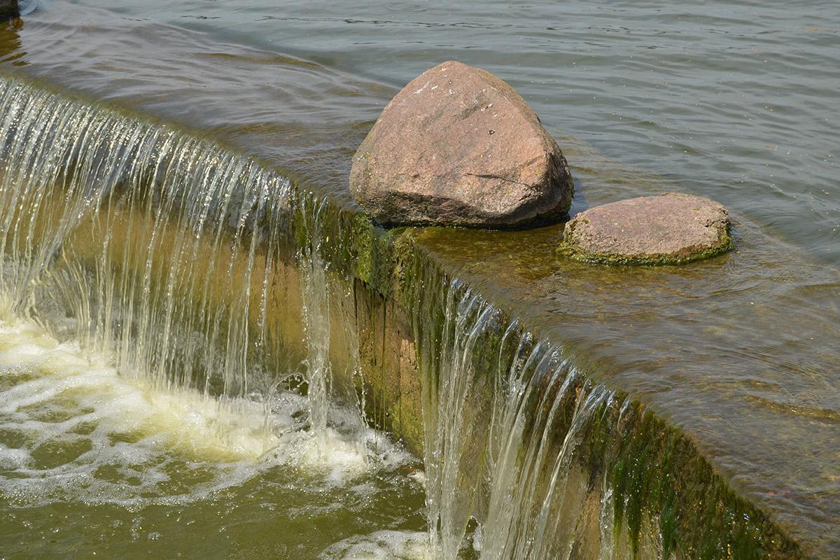 Под лежачий камень вода не течет картинка