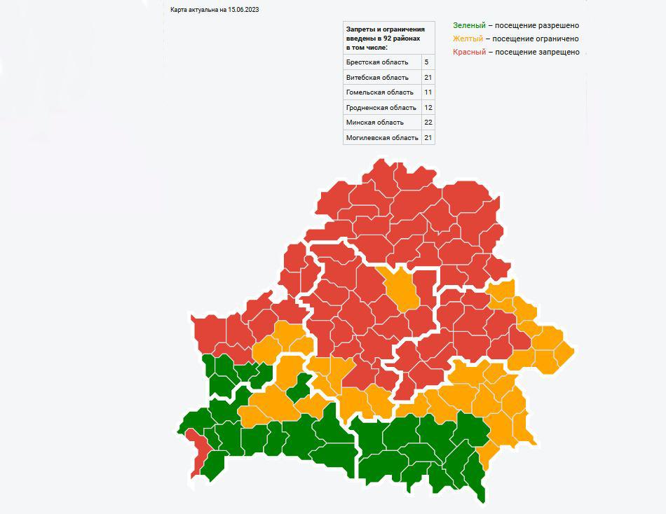 Интерактивная лесная карта